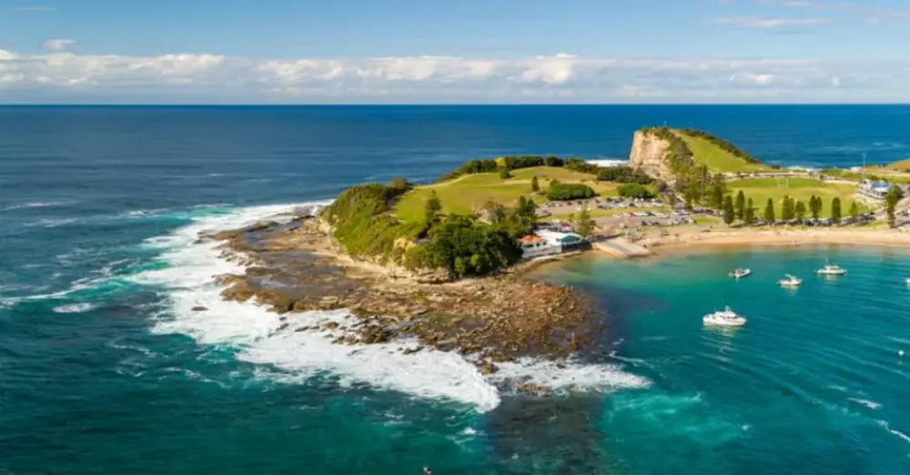 Landscape Design Central Coast