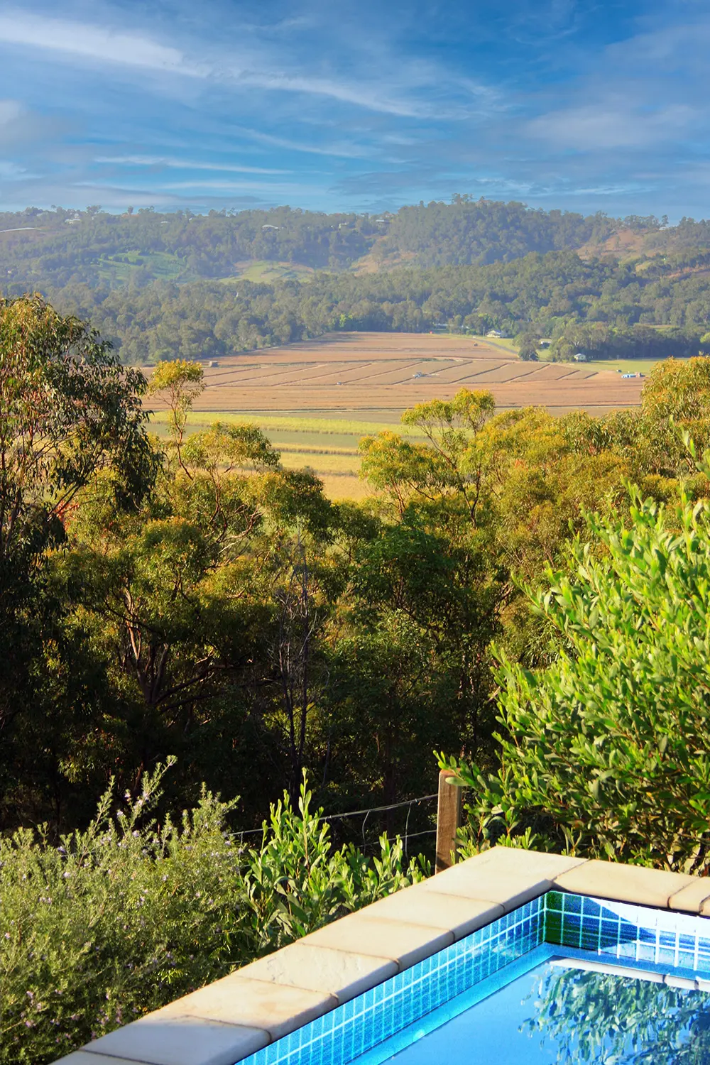 Landscaping architect: Sunshine Coast Project 5 view-of-canefield-FNQ