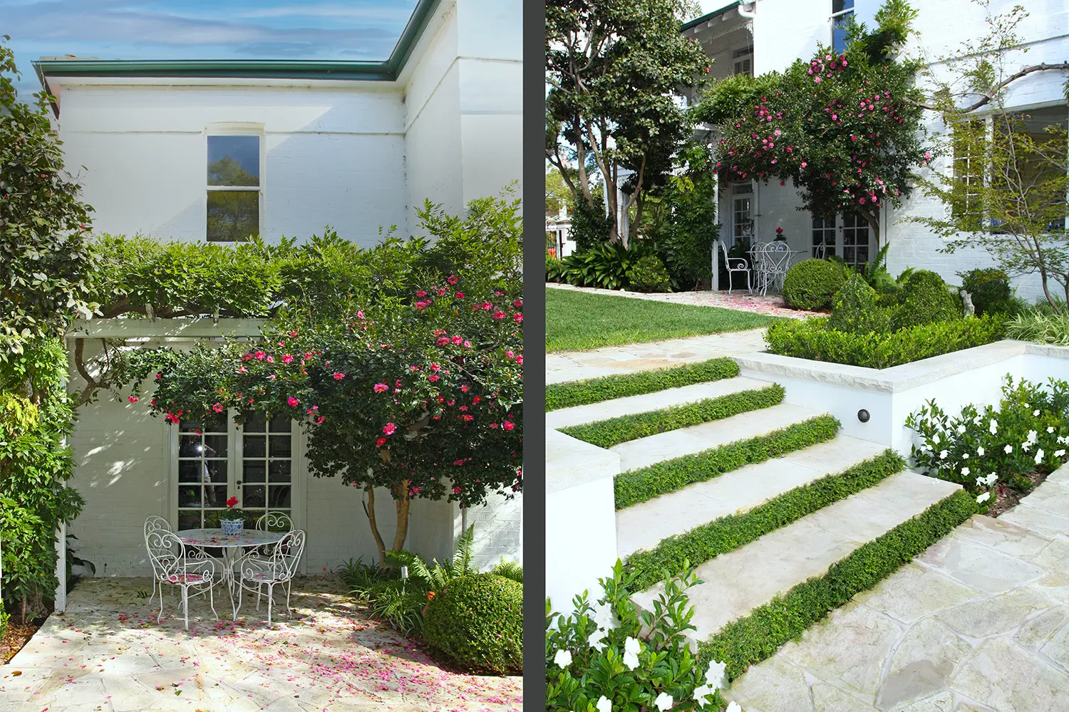 Landscape Architects Sydney: Strathfield Project 5 colourful-plantings