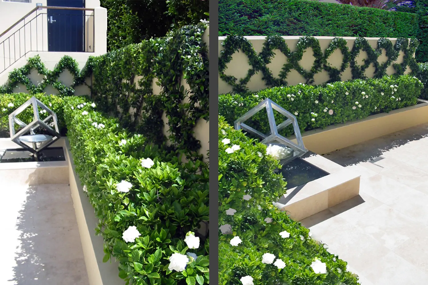 Garden Designer: Mosman 4 Project 10