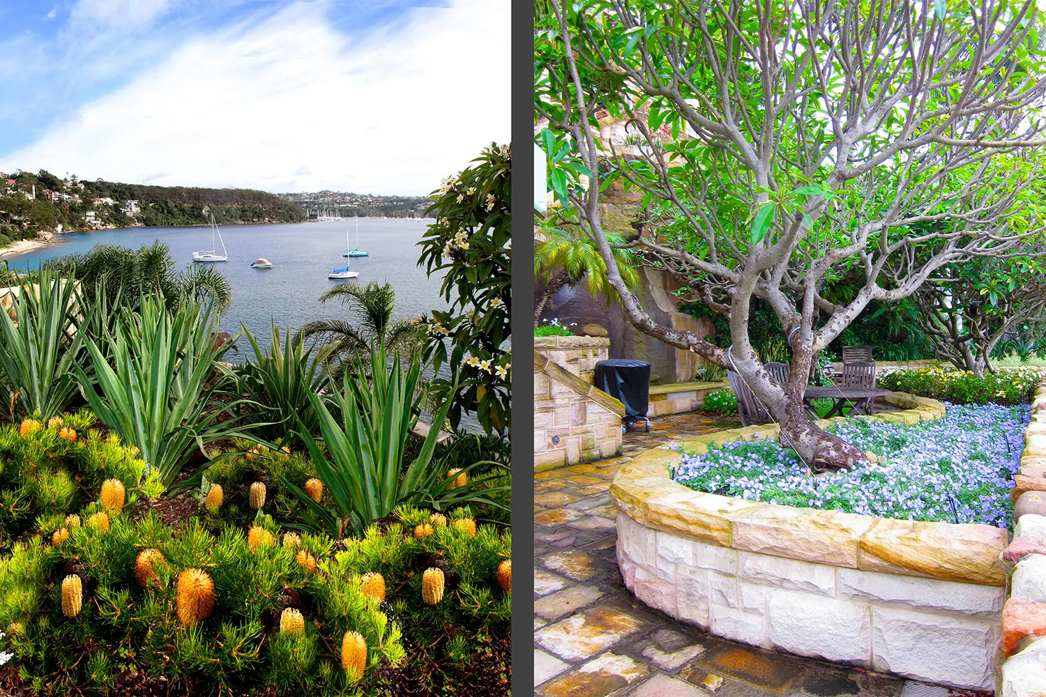 Garden Designer: Mosman 3 Project 7