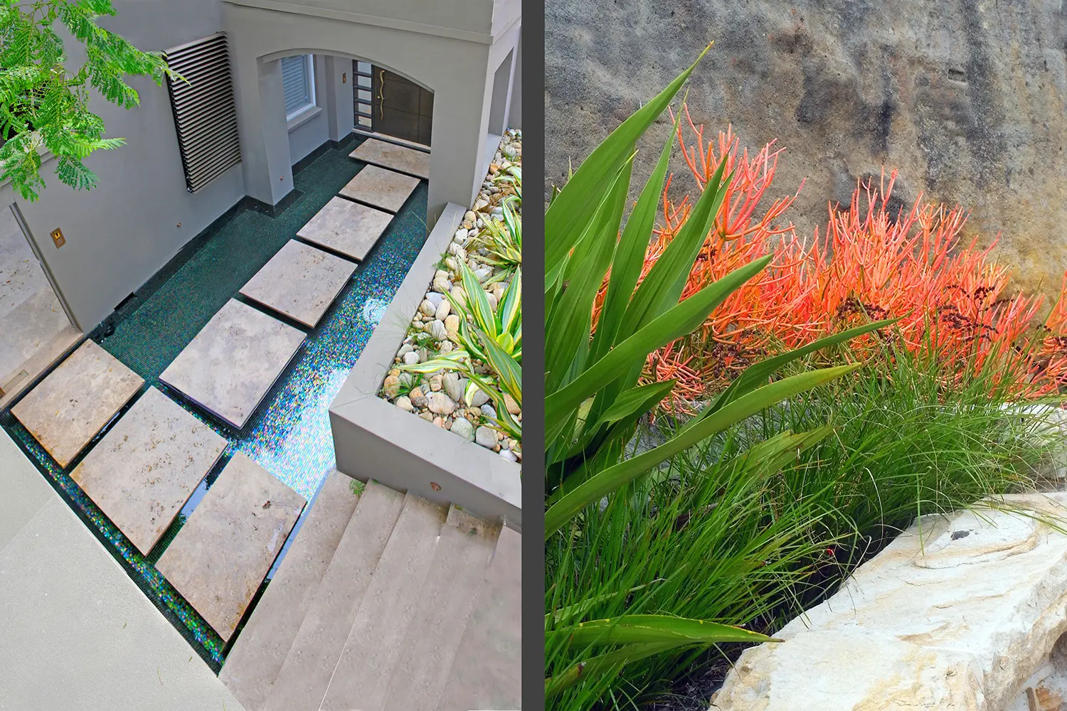 Garden Designer: Mosman 3 Project 9