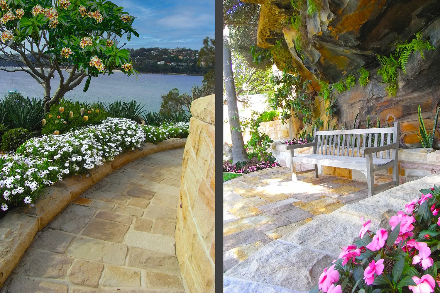 Garden Designer: Mosman 3 Project 10