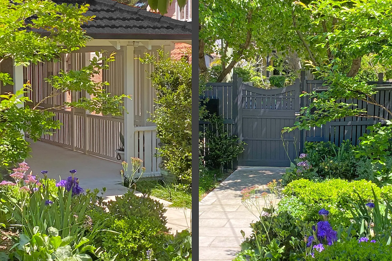 Landscape and Pool Designers: Mosman 1 Project 5