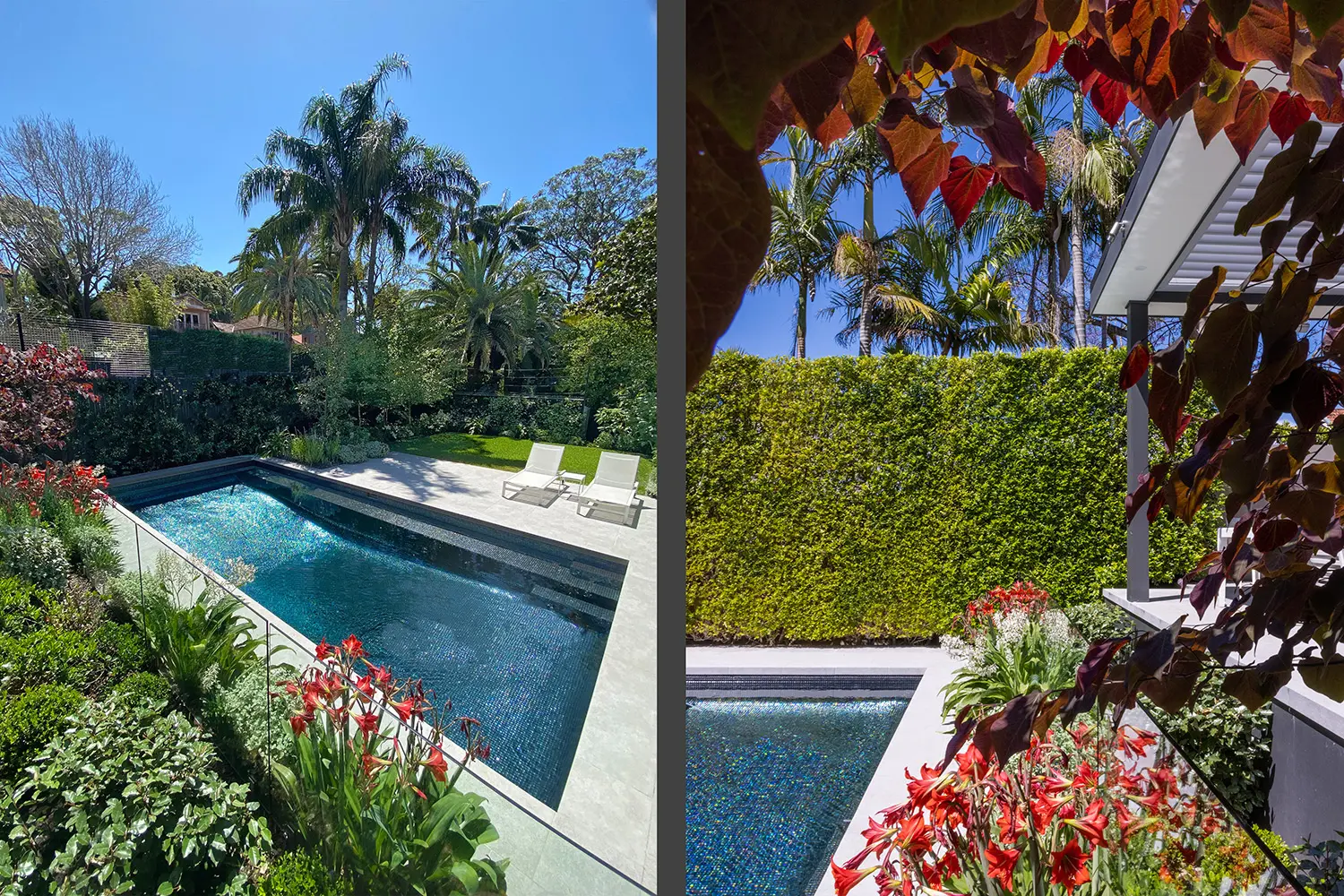 Landscape and Pool Designers: Mosman 1 Project 7