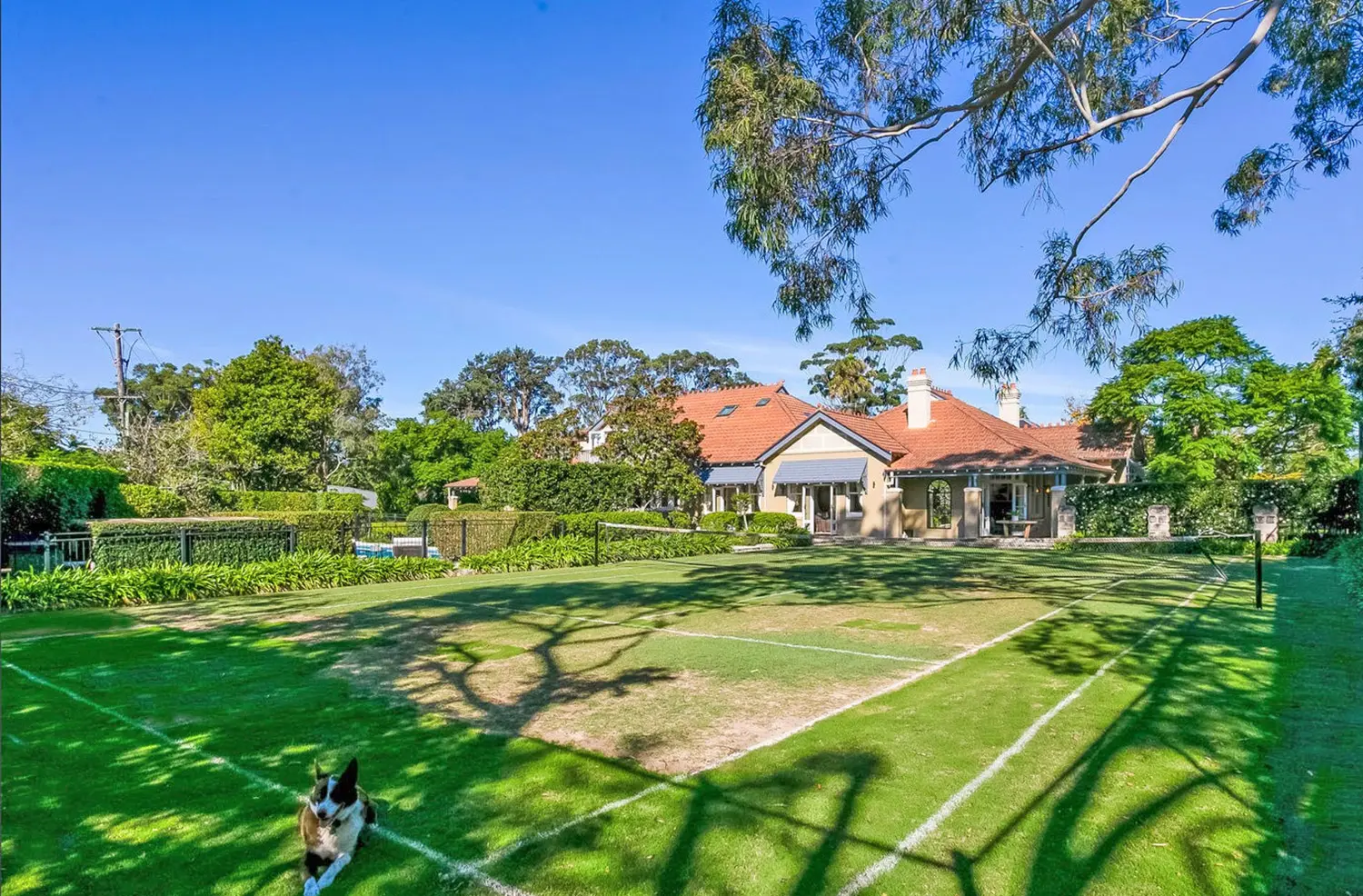 Landscape and Pool Designers: Lindfield 2 Project 8