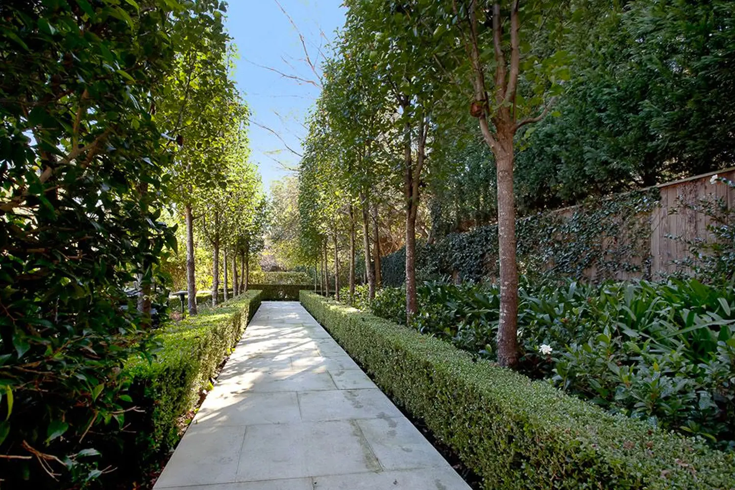 Architectural Landscape Design: Lindfield 1 Project 9