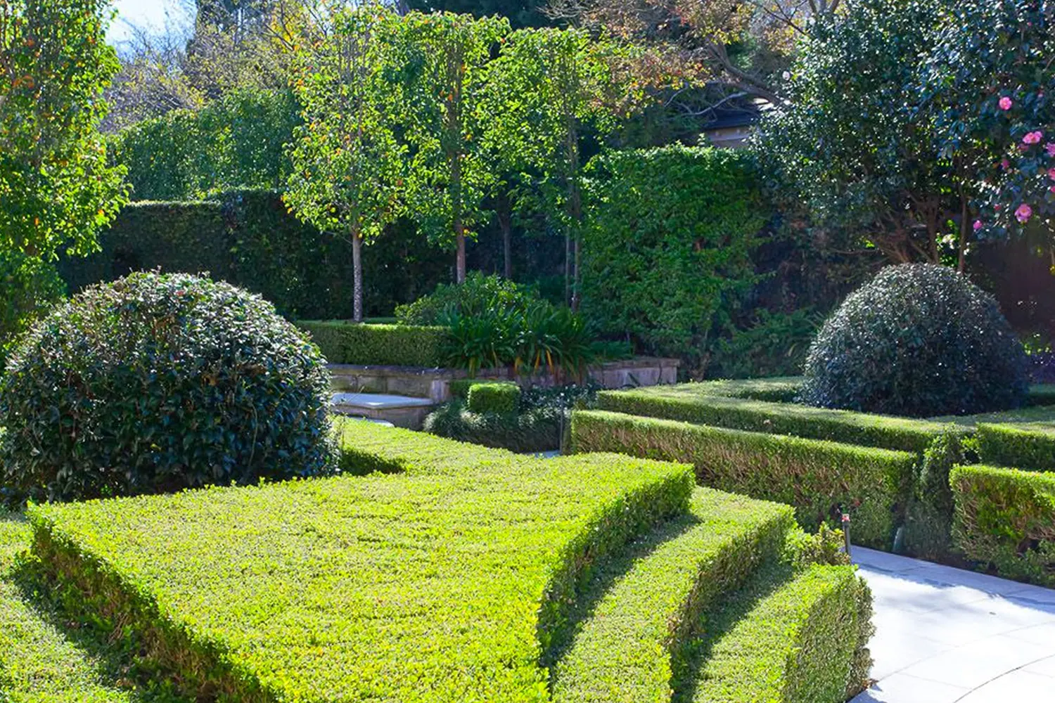 Architectural Landscape Design: Lindfield 1 Project 10