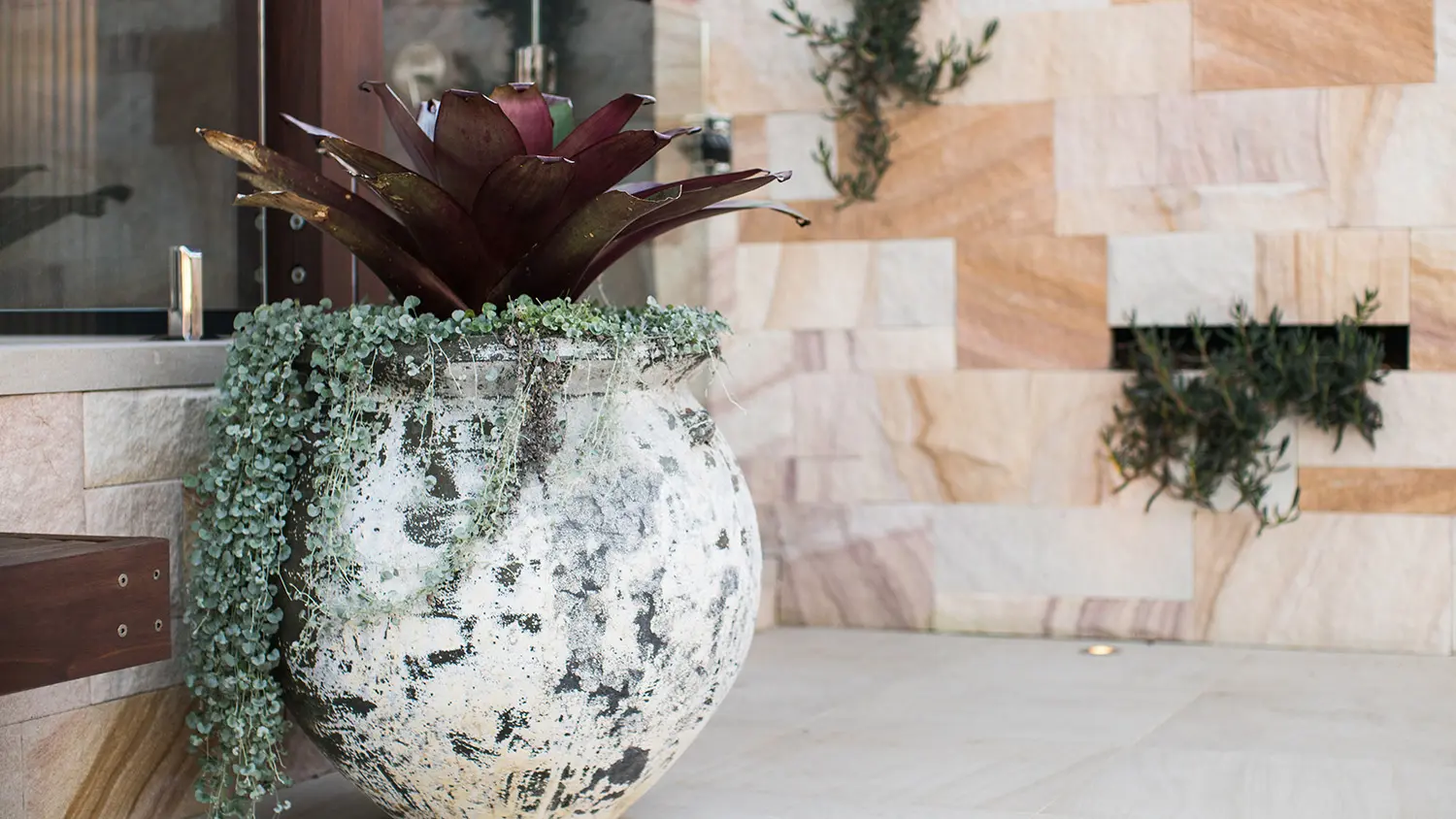 Landscape Architecture: East Lindfield Project 7