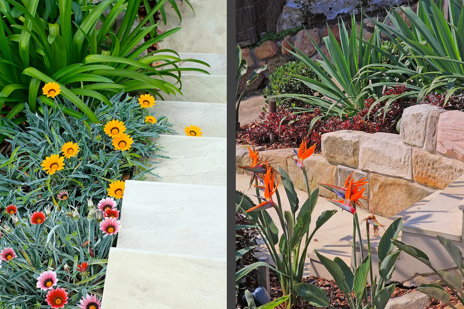 Landscape Designers: Clontarf 2 Project 7