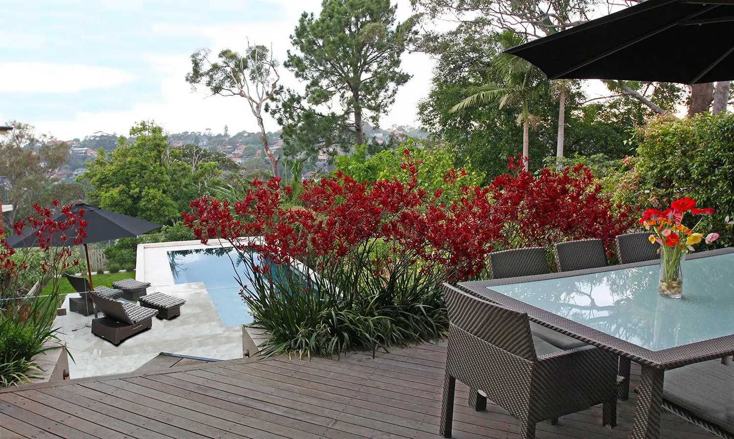 Landscaping Architect: Castle Cove Project 4