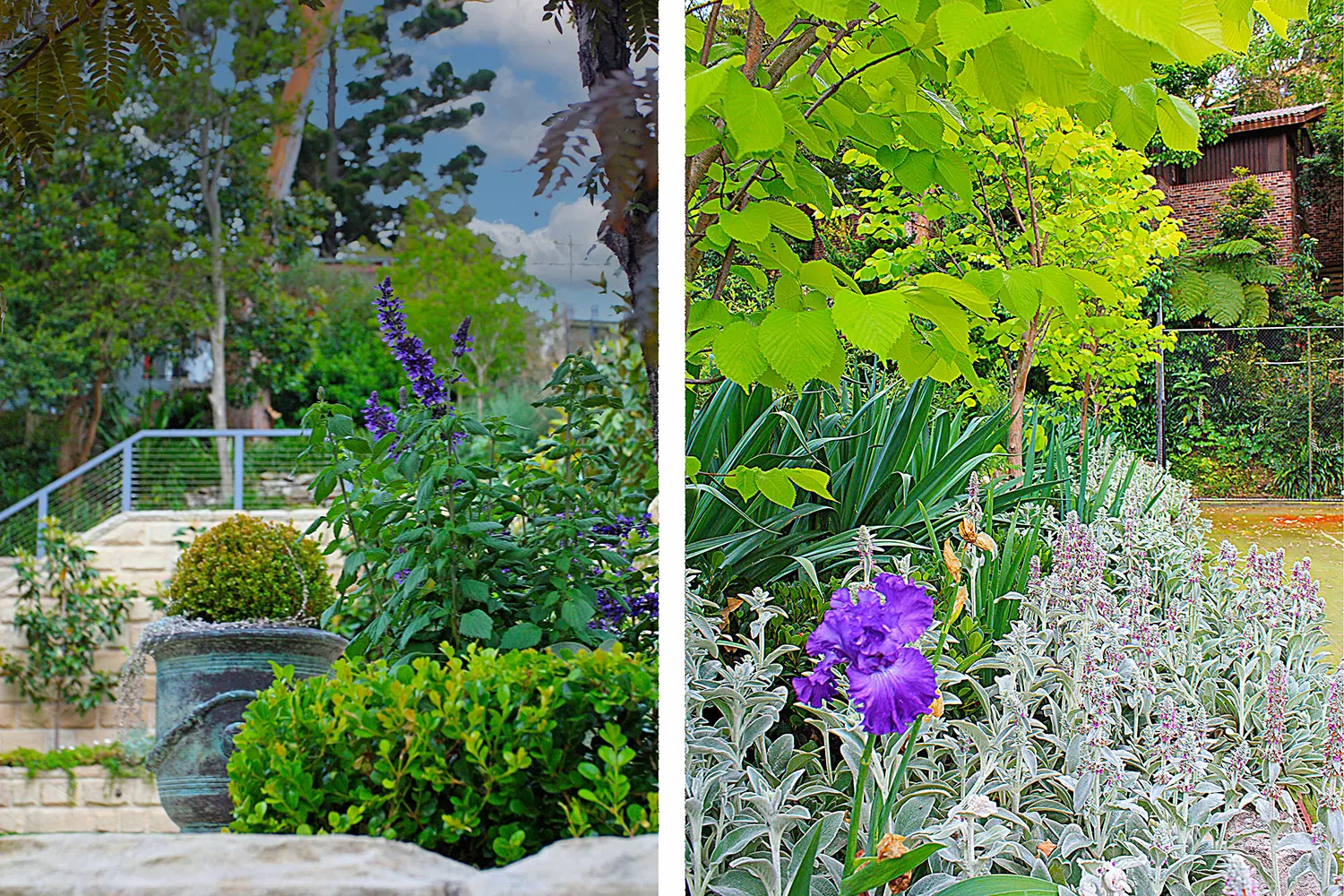 Landscape Architects: Beauty Point Project 6