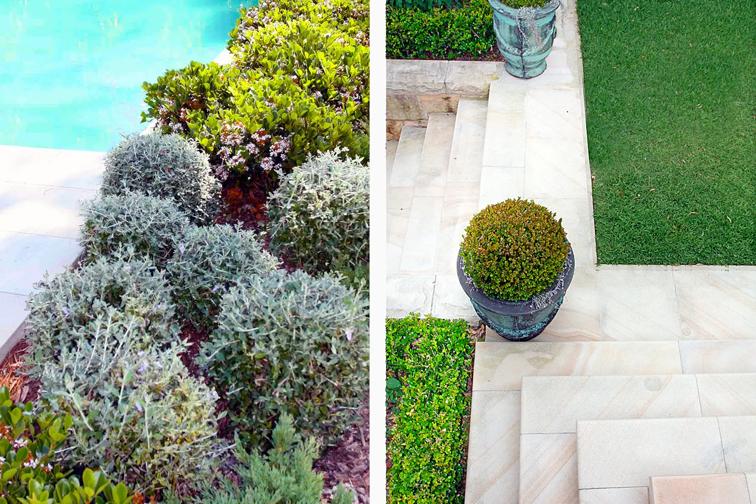 Architectural Landscape Design: Five Dock 2 Project 2