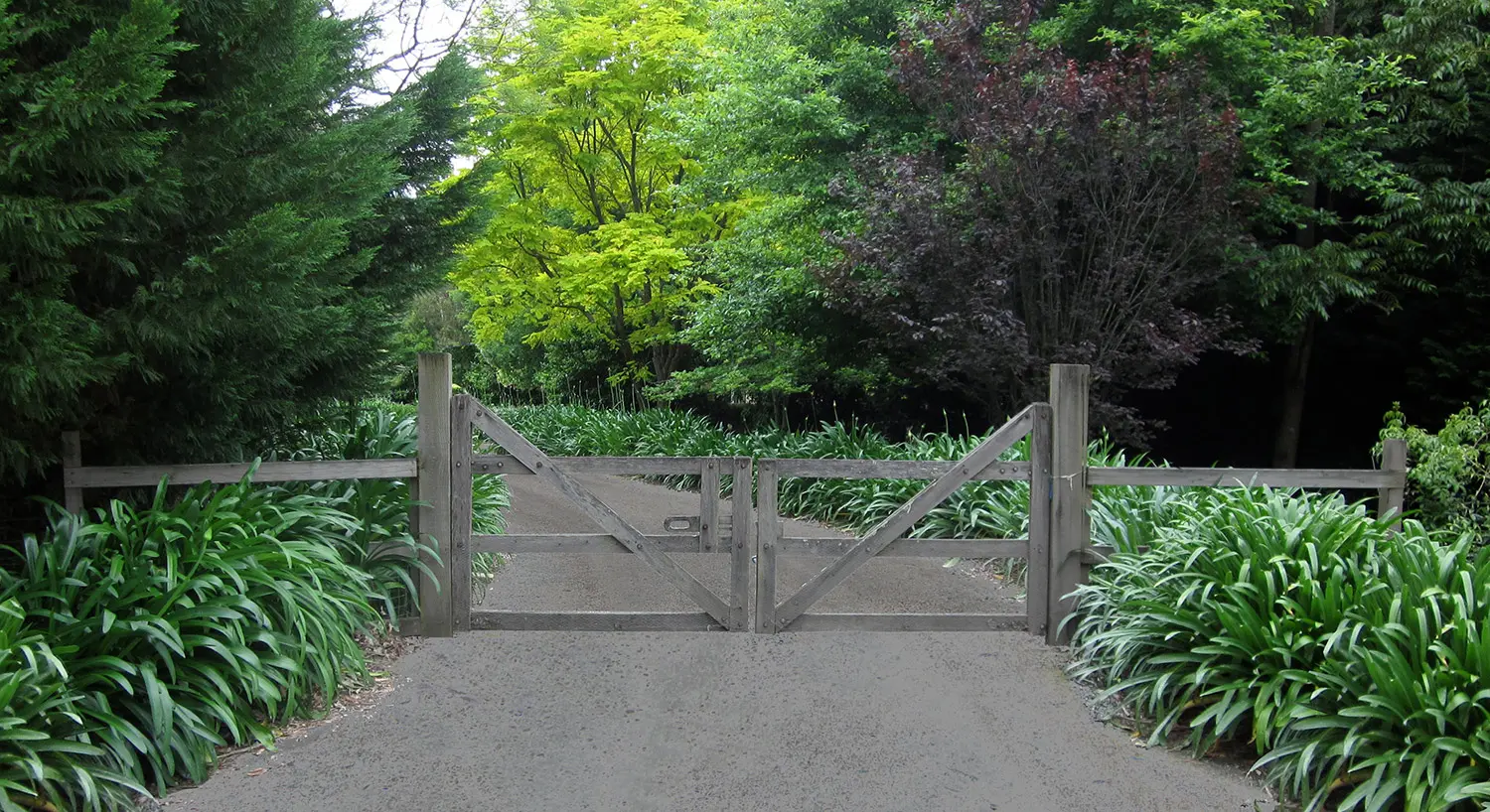 Architectural Landscaping: Dural Project 2