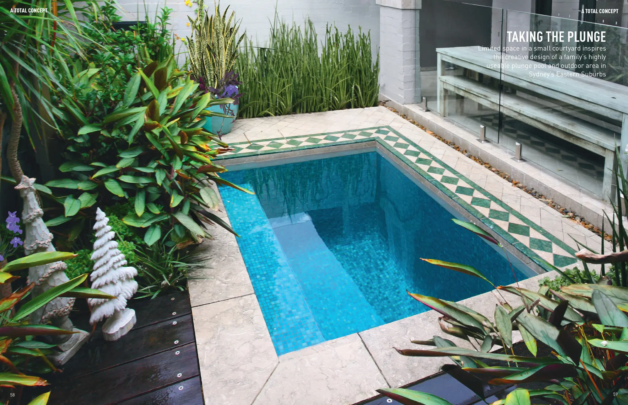 Landscape Designers Sydney Plunge 1