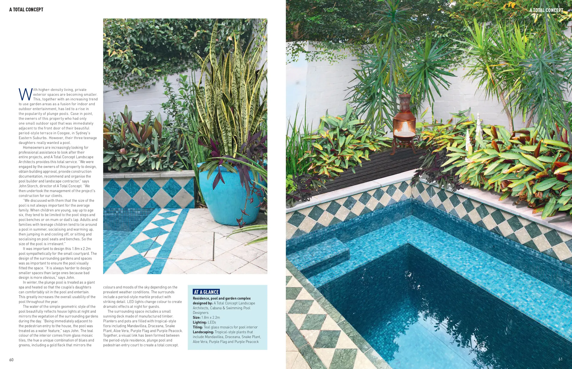 Landscape Designers Sydney Plunge 2